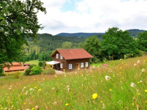 Detached holiday house in the Bavarian Forest in a very tranquil sunny setting Drachselsried